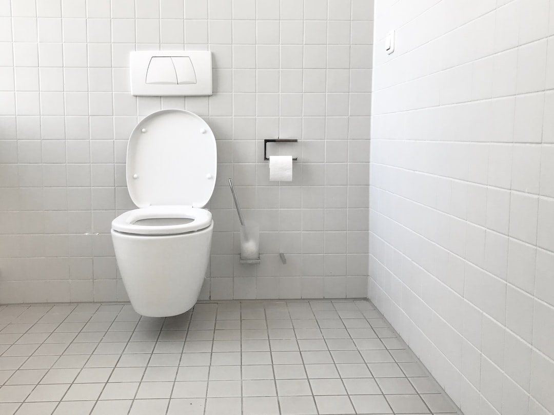 The Bidet Toilet Seat - An Eco-Friendly Alternative to Regular Toilets -  BIDET TOILET SEAT